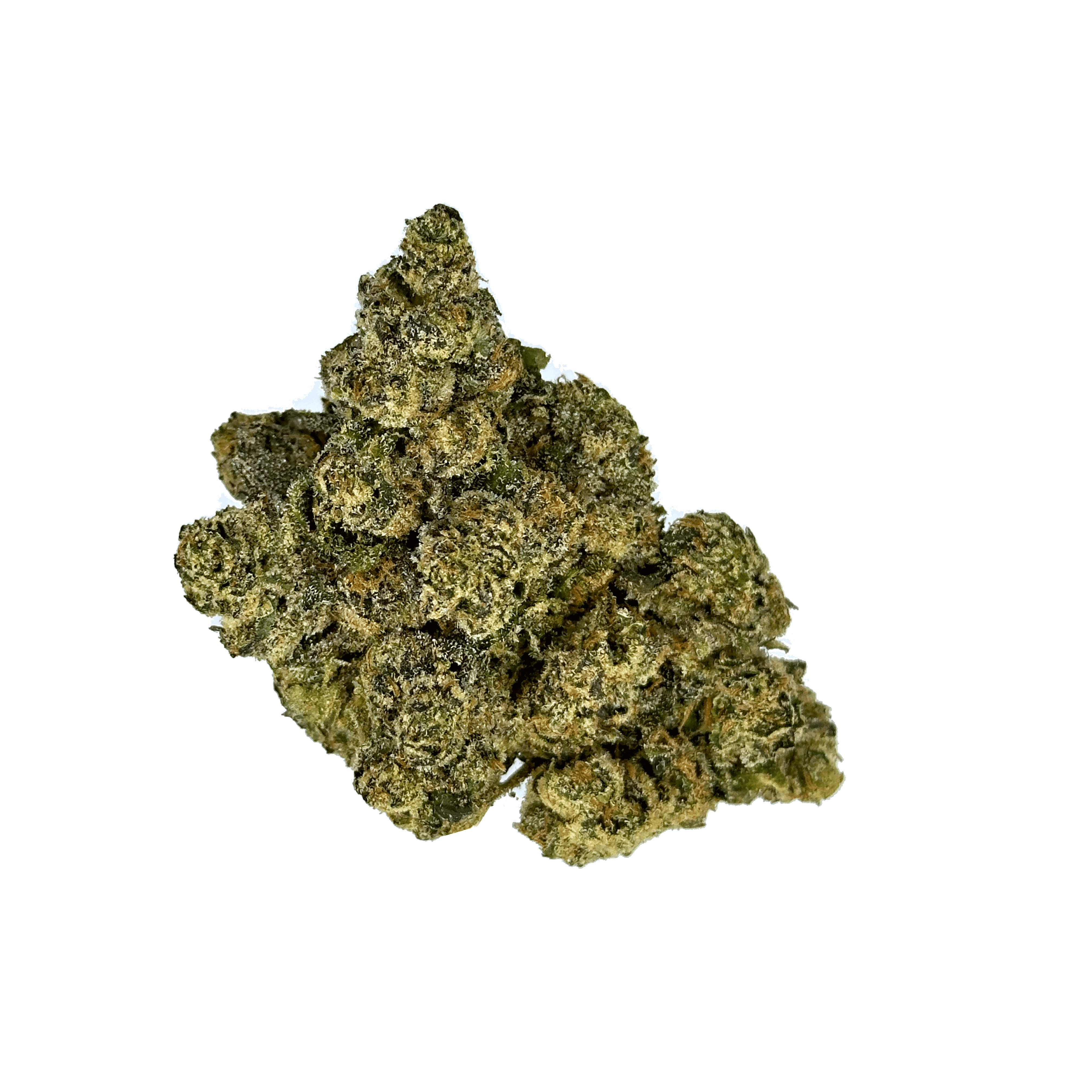 Jokerz strain - THCA Flower